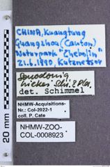 Etiketten zu Senodonia hiekei (NHMW-ZOO-COL-0008923)